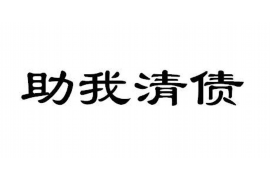 南岸遇到恶意拖欠？专业追讨公司帮您解决烦恼